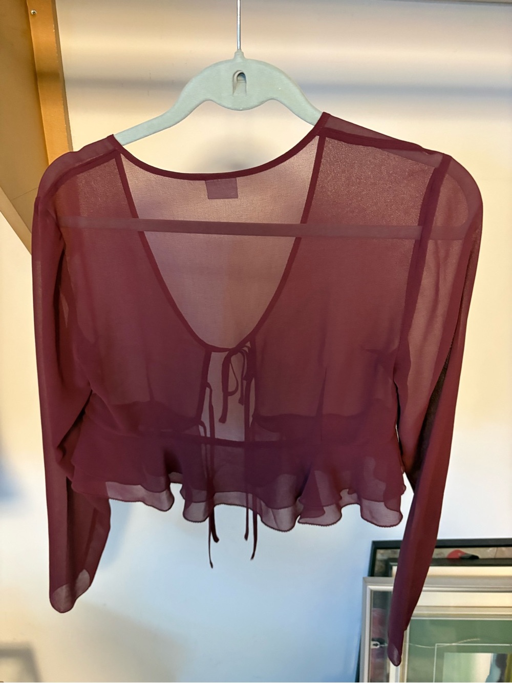 Sunday Best Sheer Top - Picture 3 of 3